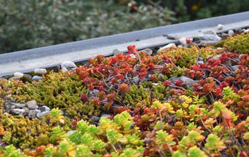 the cost of Etwall green roof installation