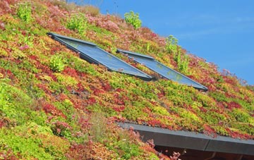 Etwall living roof systems