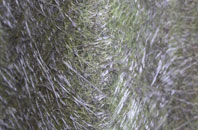 Etwall fibreglass roof work